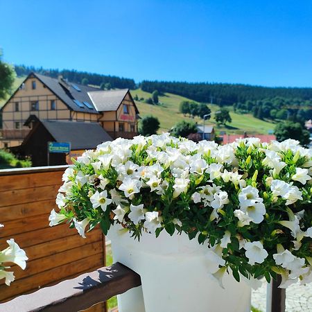 Ski&Spa Zieleniec Duszniki Zdrój Buitenkant foto