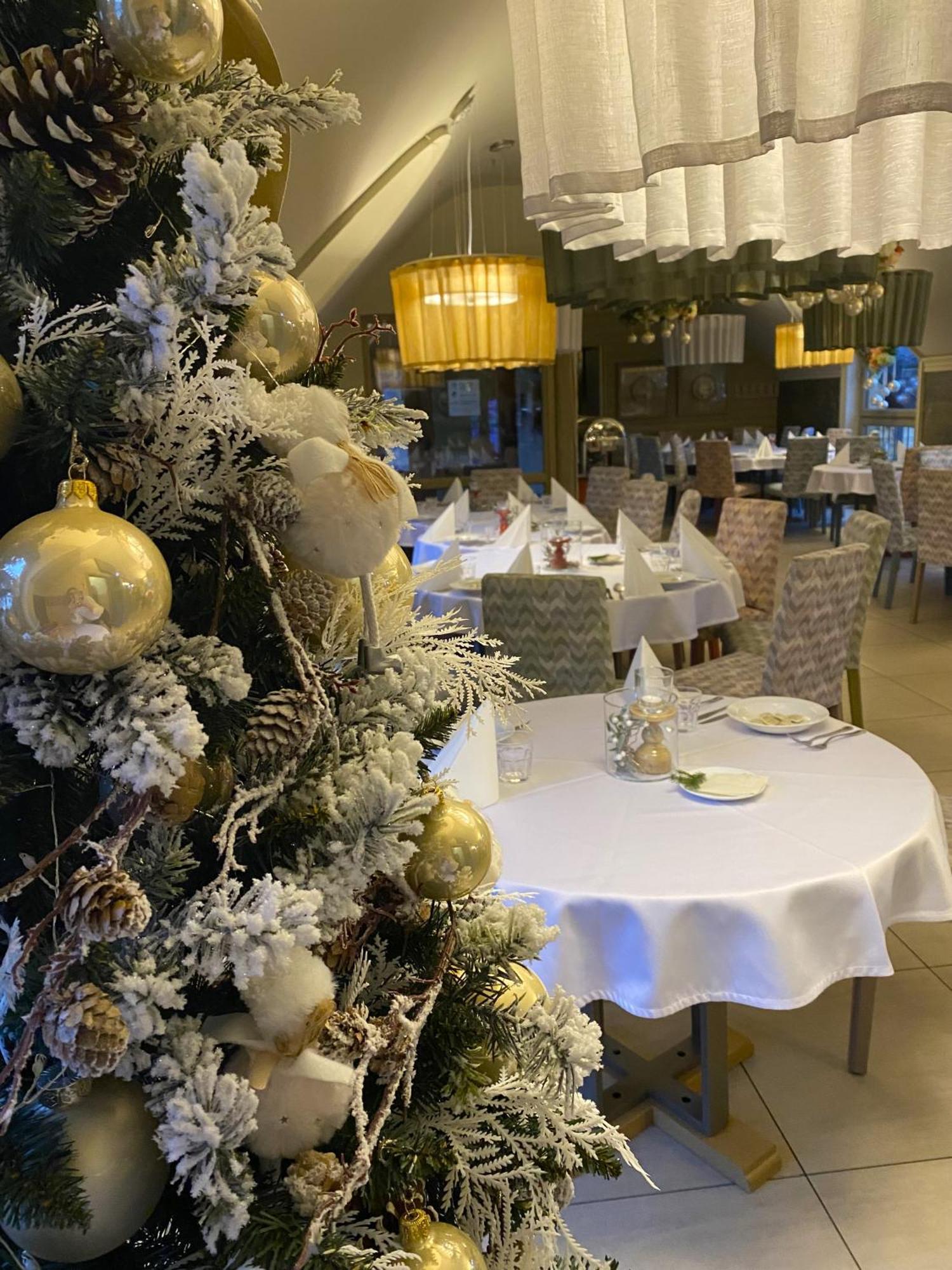 Ski&Spa Zieleniec Duszniki Zdrój Buitenkant foto