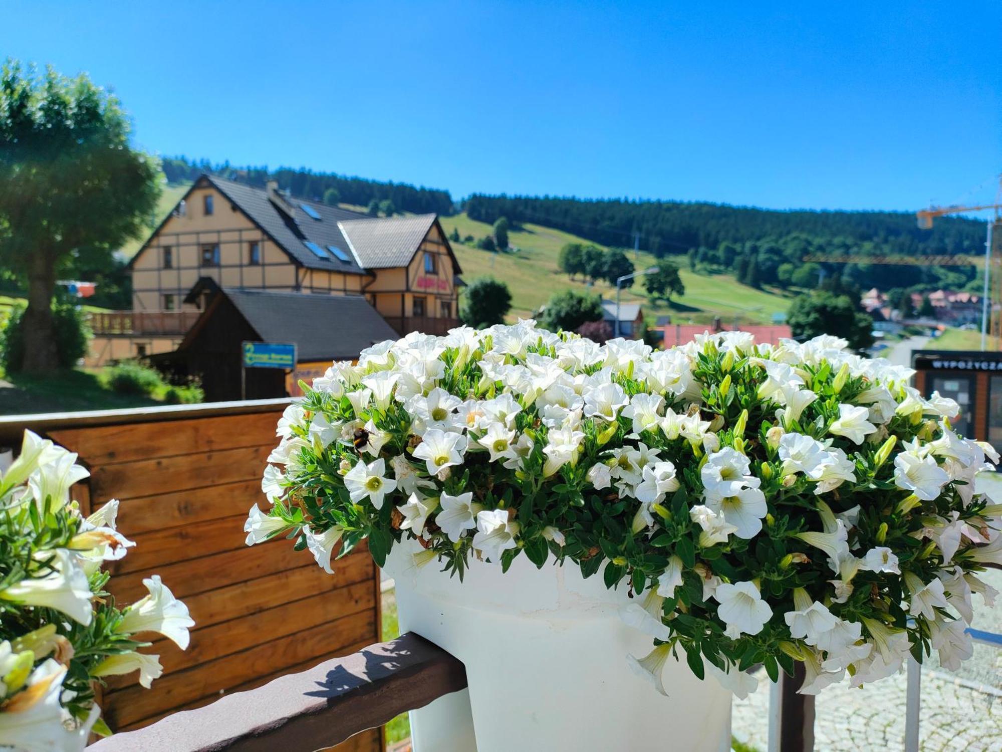 Ski&Spa Zieleniec Duszniki Zdrój Buitenkant foto